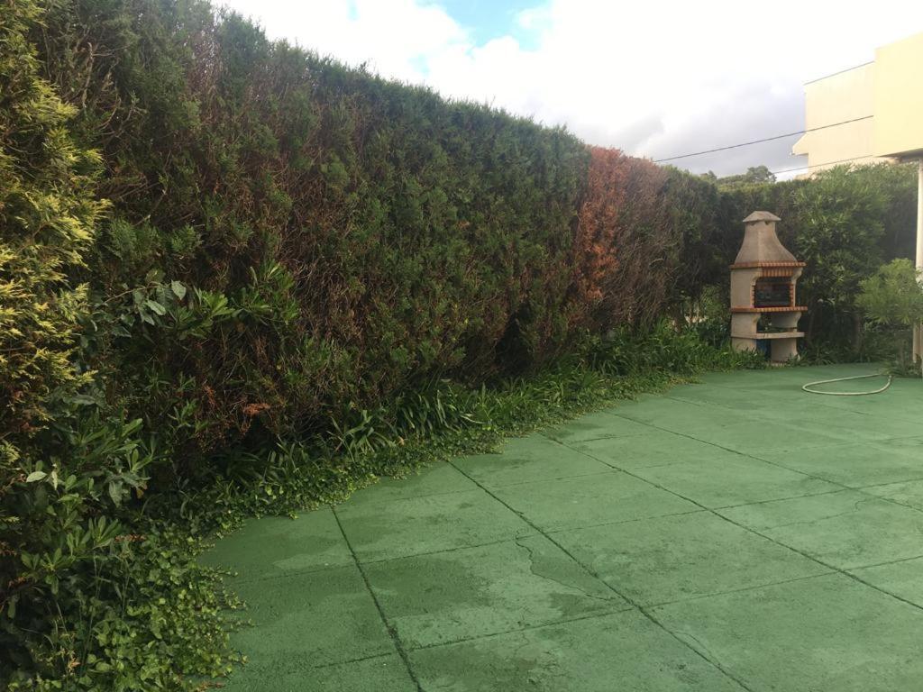 شقة موليدو  في Jardim De Moledo المظهر الخارجي الصورة